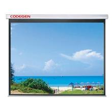 CODEGEN AX-24 240X200 STORLU PERDE 