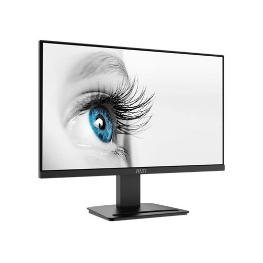 23.8 MSI PRO MP2412 FHD 1MS 100HZ FLAT VA 
