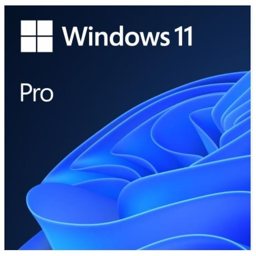MS WINDOWS 11 PRO 64BIT TR OEM FQC-10556